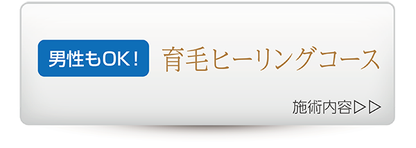メニュー(育毛ヒーリングコース)
