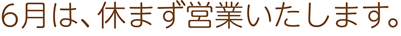 定休日